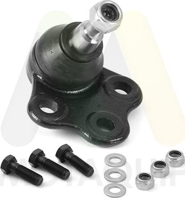 Motaquip LVSJ1278 - Rotule de suspension droxauto.com