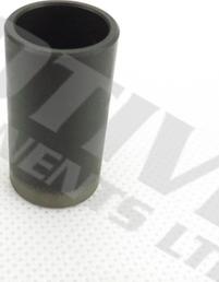 MOTIVE CF10 - Poussoir de soupape droxauto.com