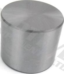 MOTIVE CF360 - Poussoir de soupape droxauto.com