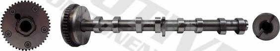MOTIVE T2130 - Arbre à came droxauto.com