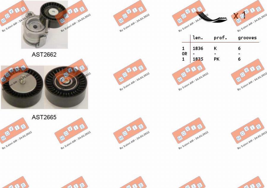 MOVIS ASTA0042 - Jeu de courroies trapézoïdales à nervures droxauto.com