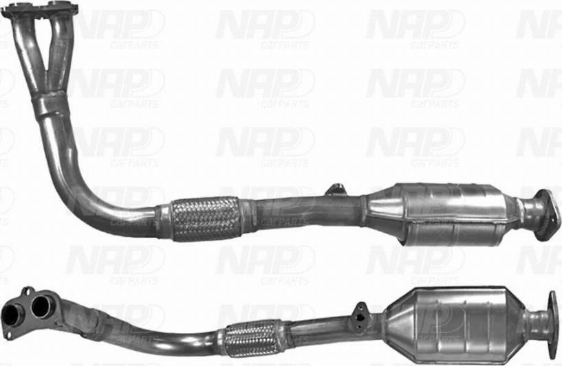 NAP CAK10999 - Catalyseur droxauto.com