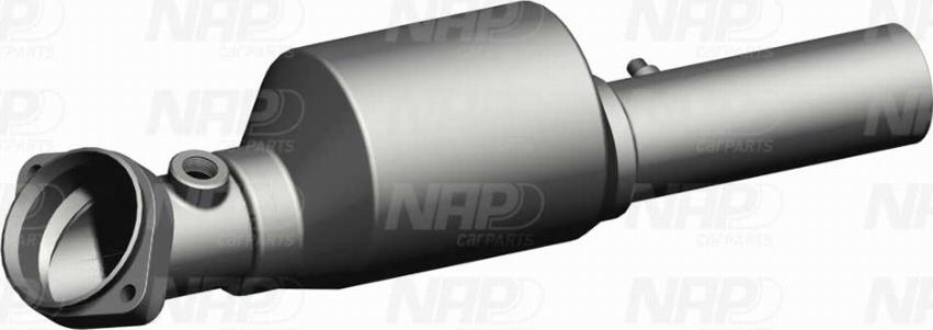 NAP CAK10205 - Catalyseur droxauto.com