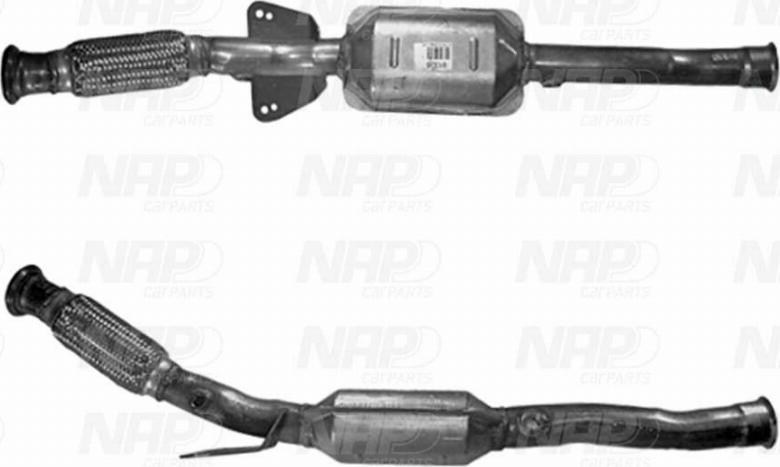 NAP CAK11142 - Catalyseur droxauto.com