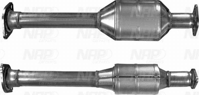 NAP CAK11169 - Catalyseur droxauto.com