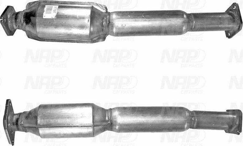 NAP CAK11101 - Catalyseur droxauto.com