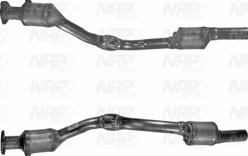 NAP CAK11124 - Catalyseur droxauto.com