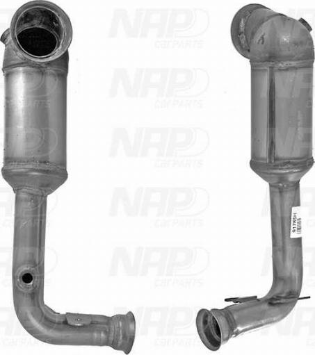 NAP CAK11259 - Catalyseur droxauto.com