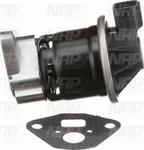 NAP CAV10101 - Vanne EGR droxauto.com