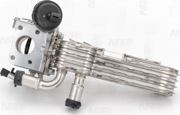 NAP CAV10178 - Vanne EGR droxauto.com