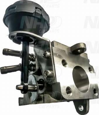 NAP CAV10177 - Vanne EGR droxauto.com