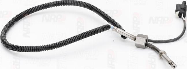 NAP CTS10174 - Capteur, température des gaz droxauto.com