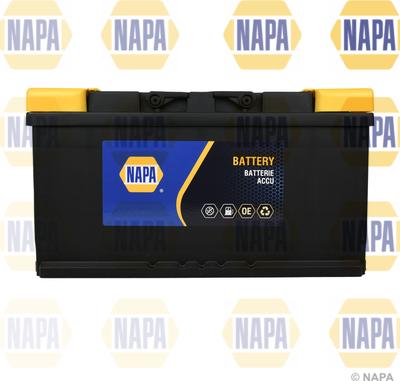 NAPA 019N - Batterie de démarrage droxauto.com