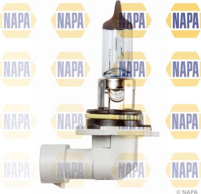 NAPA NBU19006 - Ampoule, projecteur principal droxauto.com