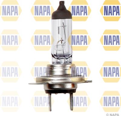 NAPA NBU1477 - Ampoule, projecteur principal droxauto.com