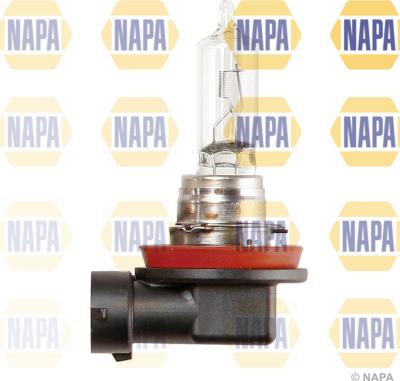 NAPA NBU1709 - Ampoule, projecteur principal droxauto.com