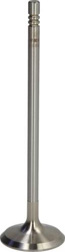 NE 147007000800 - Soupape d'admission droxauto.com