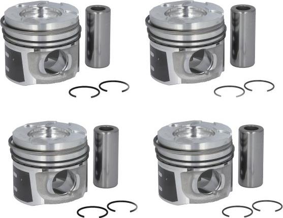 NE 130 037 0031 00 - Piston droxauto.com