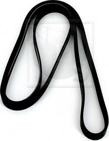 NPS H111I24 - Courroie trapézoïdale à nervures droxauto.com