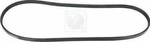 NPS K111A07 - Courroie trapézoïdale à nervures droxauto.com