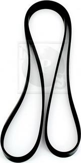 NPS K111A10 - Courroie trapézoïdale à nervures droxauto.com