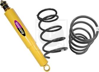 NPS T495A09 - Lame de ressort droxauto.com