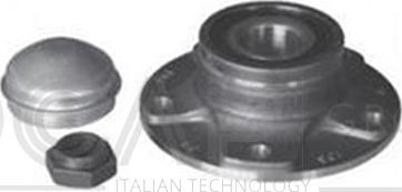 OCAP 6110103 - Kit de roulements de roue droxauto.com