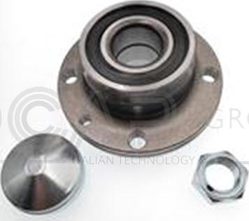 OCAP 6120155 - Kit de roulements de roue droxauto.com