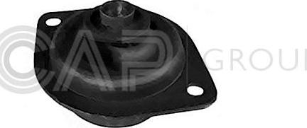 OCAP 1226019 - Support moteur droxauto.com