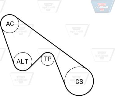 Optibelt 5 PK 1150KT1 - Jeu de courroies trapézoïdales à nervures droxauto.com