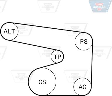 Optibelt 6 PK 1900KT1 - Jeu de courroies trapézoïdales à nervures droxauto.com
