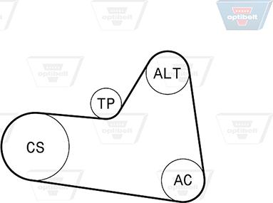 Optibelt 6 PK 1710KT1 - Jeu de courroies trapézoïdales à nervures droxauto.com