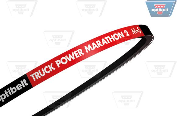 Optibelt AVP 13 x 1825 TM - Courroie trapézoïdale droxauto.com