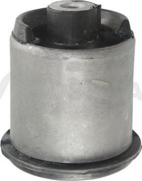 OSSCA 05698 - Suspension, corps de l'essieu droxauto.com