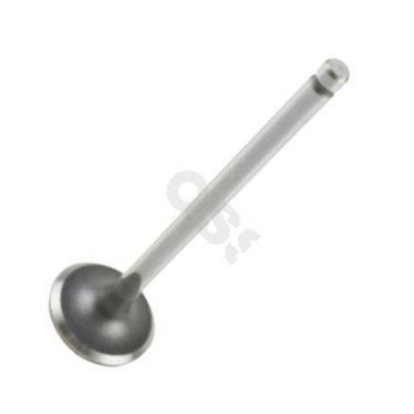 OSSCA 16960 - Soupape d'admission droxauto.com