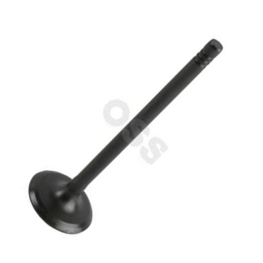 OSSCA 72943 - Soupape d'admission droxauto.com