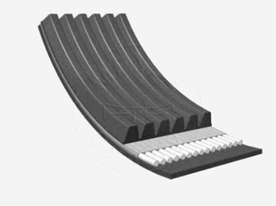 Patron 6PK1795 - Courroie trapézoïdale à nervures droxauto.com