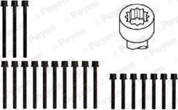 Payen HBS077 - Jeu de boulons de culasse de cylindre droxauto.com