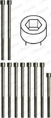 Payen HBS173 - Jeu de boulons de culasse de cylindre droxauto.com