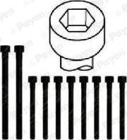 Payen HBS308 - Jeu de boulons de culasse de cylindre droxauto.com
