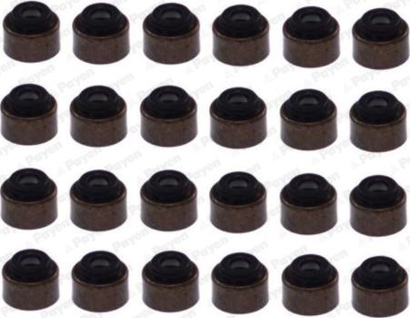 Payen HR5094 - Jeu de joints d'étanchéité, tige de soupape droxauto.com