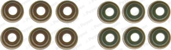 Payen HR5131 - Jeu de joints d'étanchéité, tige de soupape droxauto.com