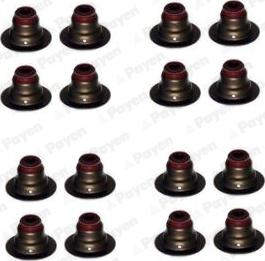 Payen HR5127 - Jeu de joints d'étanchéité, tige de soupape droxauto.com