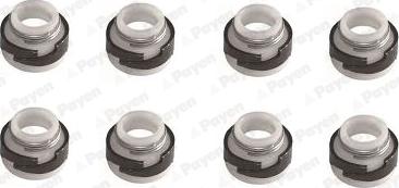 Payen HR643 - Jeu de joints d'étanchéité, tige de soupape droxauto.com