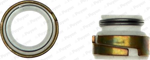 Payen HR300 - Jeu de joints d'étanchéité, tige de soupape droxauto.com