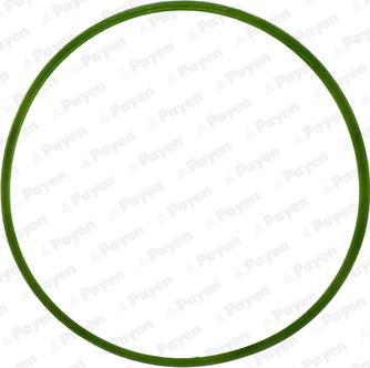 Payen JD5982 - Joint d'étanchéité, collecteur d'admission droxauto.com