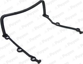 Payen JR5044 - Joint d'étanchéité, carter de distribution droxauto.com