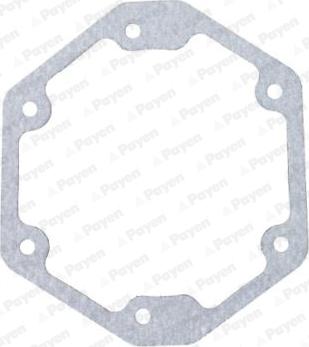 Payen LS859 - Joint d'étanchéité, carter de distribution droxauto.com