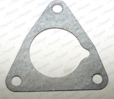 Payen LT498 - Joint d'étanchéité, carter de distribution droxauto.com