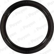 Payen NA5492 - Bague d'étanchéité, vilebrequin droxauto.com